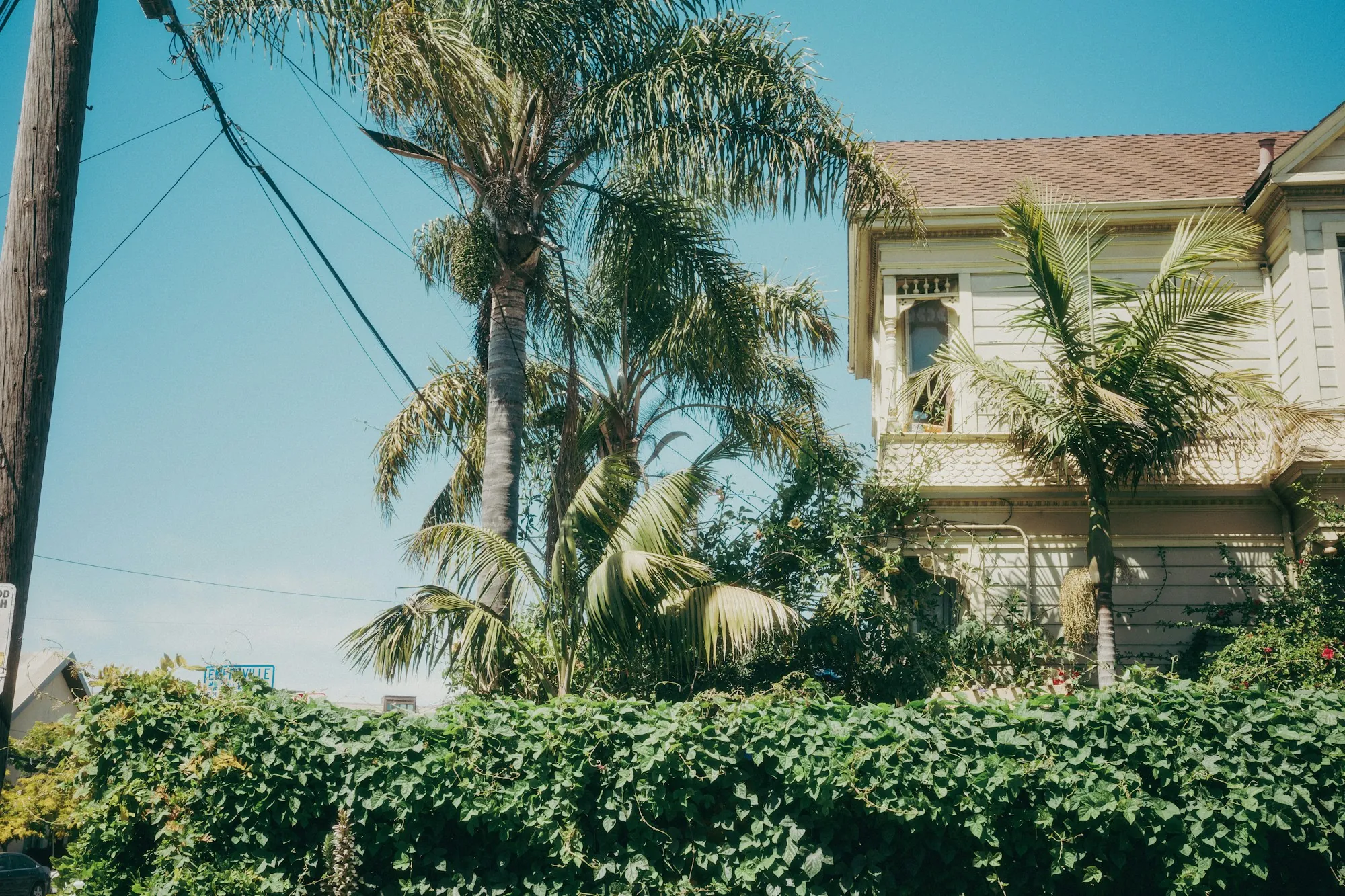 About Aliso Viejo Water Systems House behind palm trees and green bushes