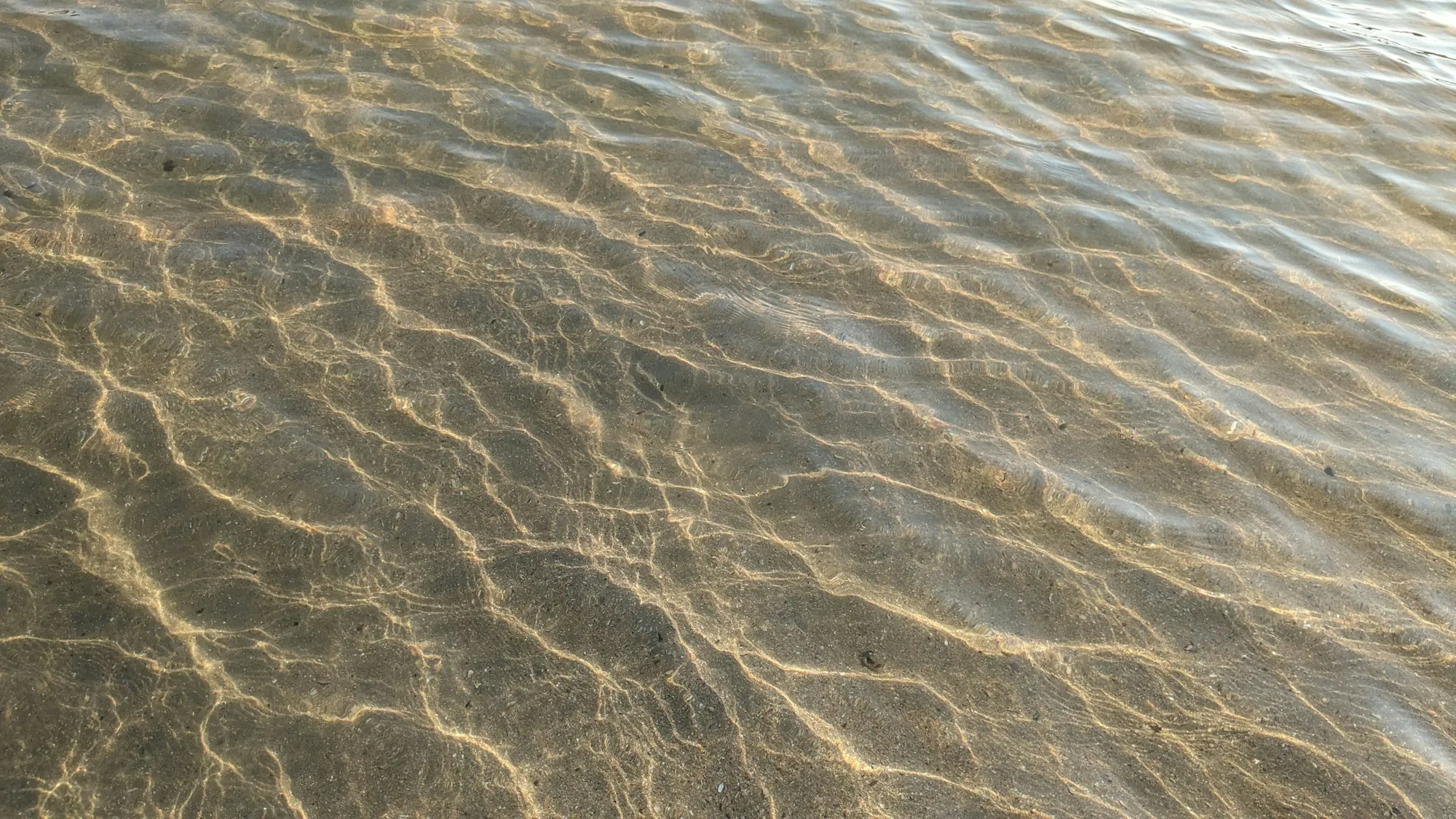 Sediment Filtration in Aliso Viejo, CA Shallow water over a sandy bottom
